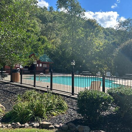 Elegant & Cozy Cabin Near Pigeon Forge 세비어빌 외부 사진